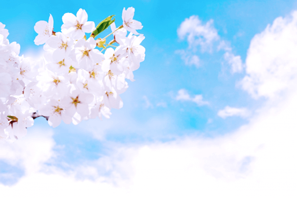 入園式（新入幼児）