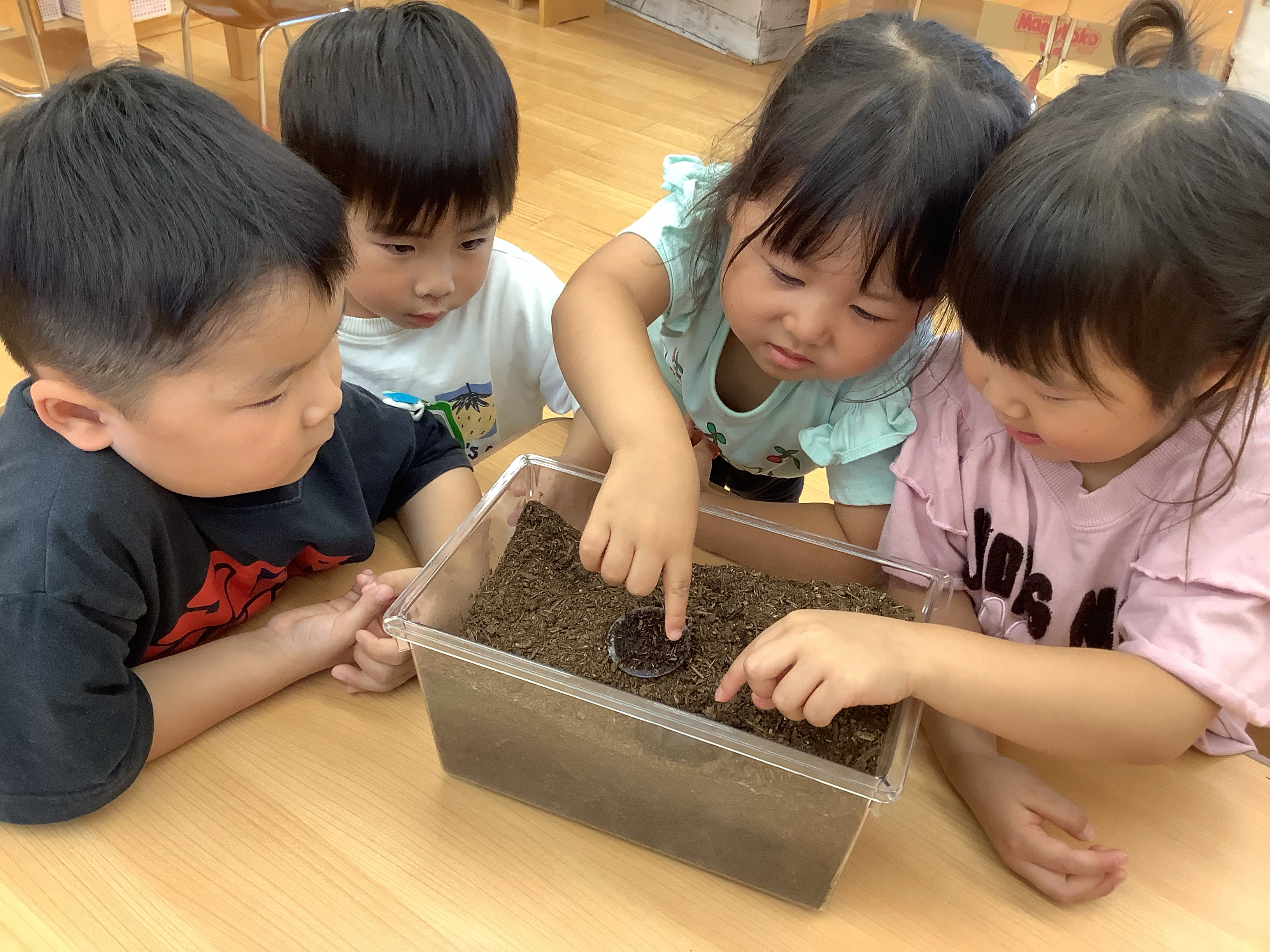 カブトムシを観察する子どもたち